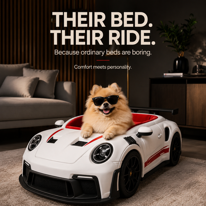 PawCruiser - Dog Bed